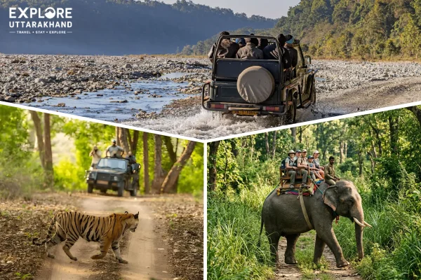 Jim Corbett Fixed Departure Tour