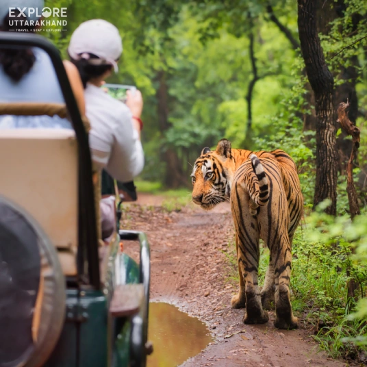 Jim Corbett Tour